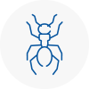 Ant Removals In Brixham