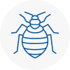 Bed Bug Extermination In Brixham