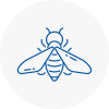 Bee Nest Removal Brixham