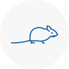 Mice Exterminators In Brixham
