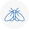 Moth Control Specialists In Brixham