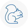 Brixham Rodent Removals